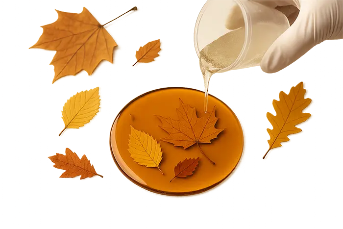 رزین پاییز